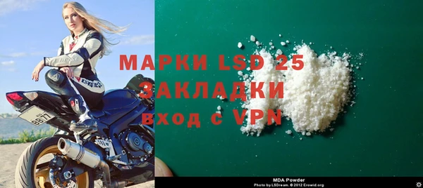 шишки Белоозёрский