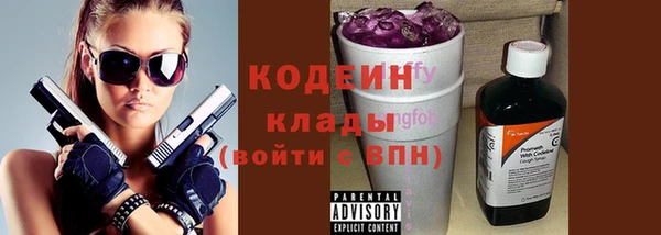 шишки Белоозёрский