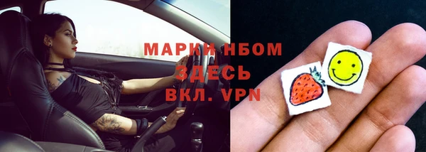 шишки Белоозёрский