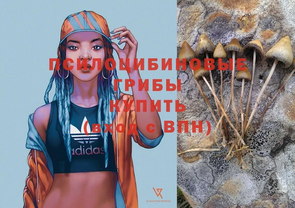 ECSTASY Беломорск