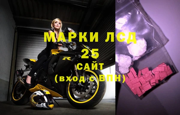 шишки Белоозёрский