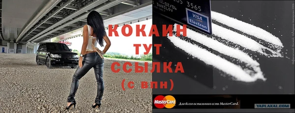 шишки Белоозёрский