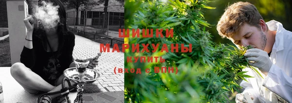 apvp Белокуриха